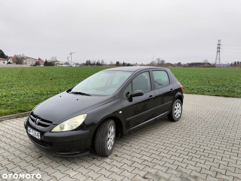 Peugeot 307 1.6 XS - 8