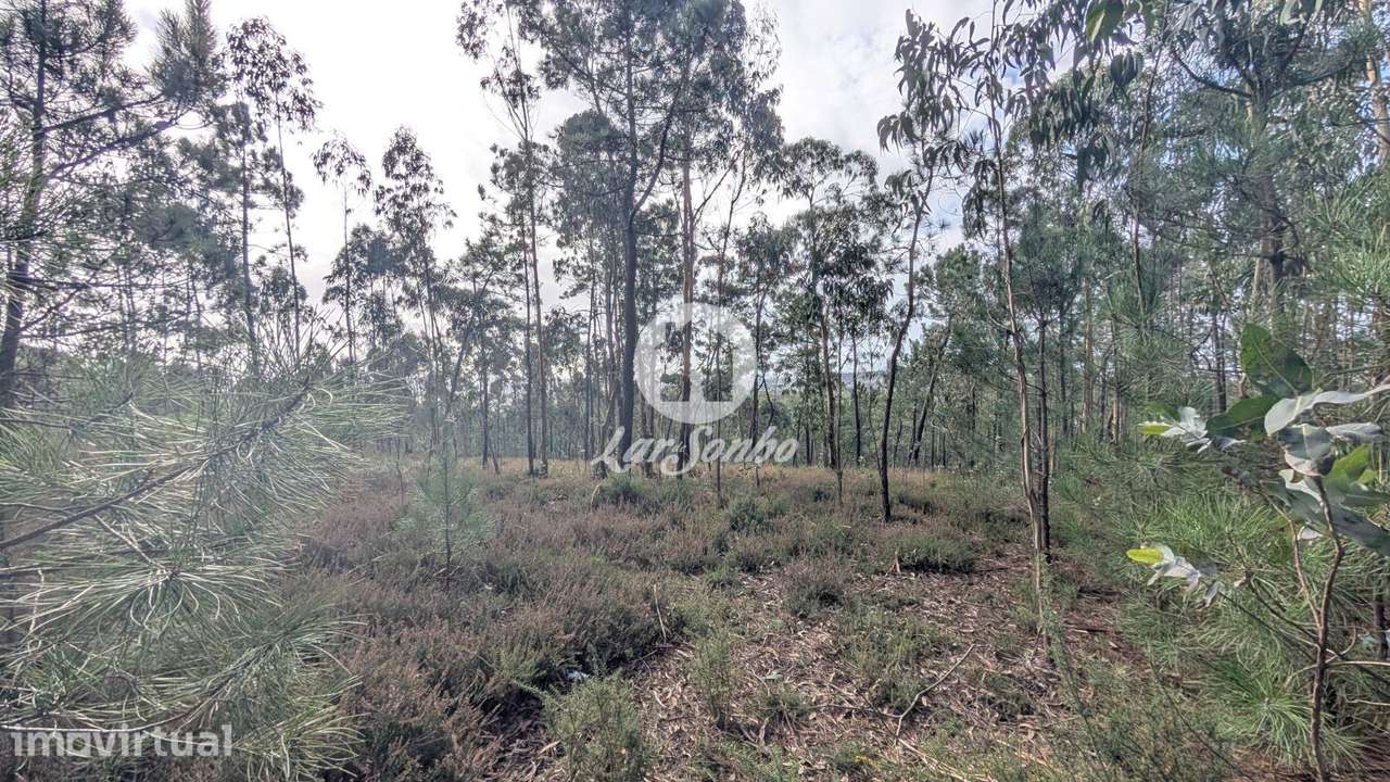 Terreno com 14.516m2 em Laúndos, Póvoa de Varzim - Grande imagem: 2/8