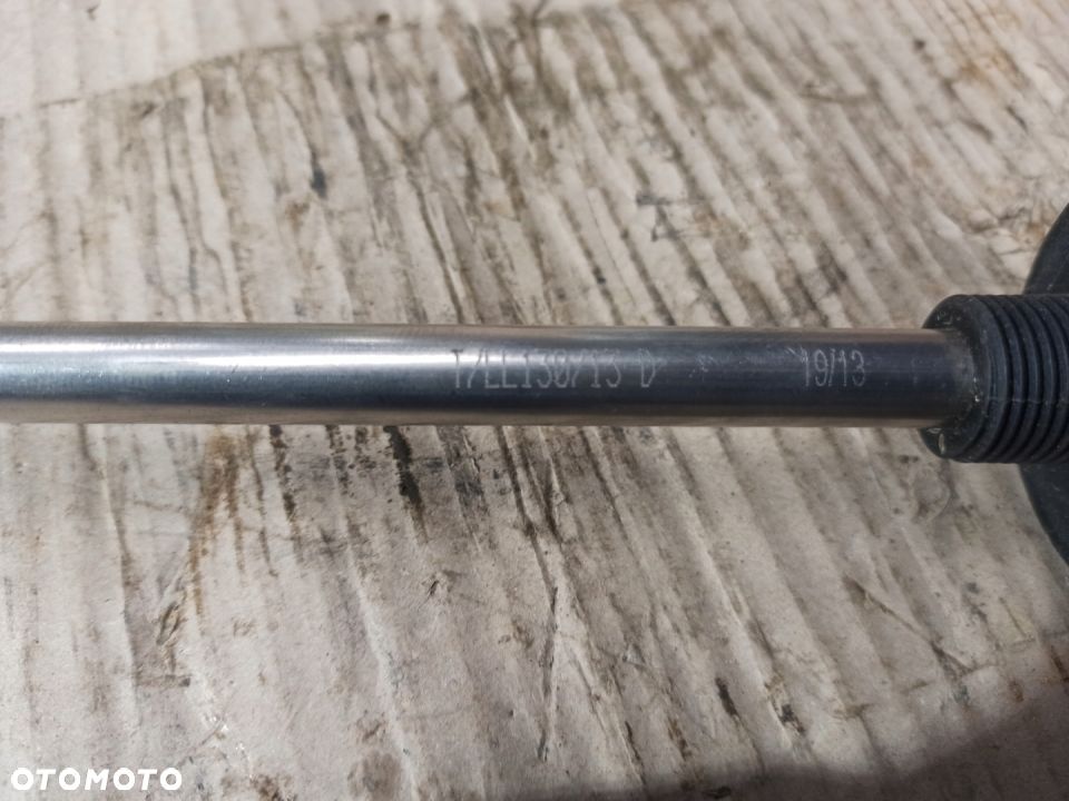 Czujnik poziomu cieczy Fozmula T/LL130/13 D - 3