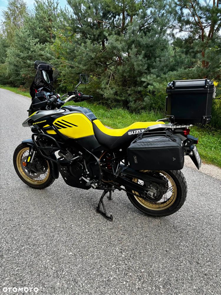 Suzuki DL - 5