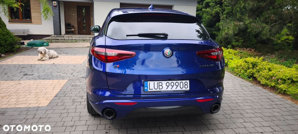 Alfa Romeo Stelvio 2.0 Turbo Veloce Q4 - 6