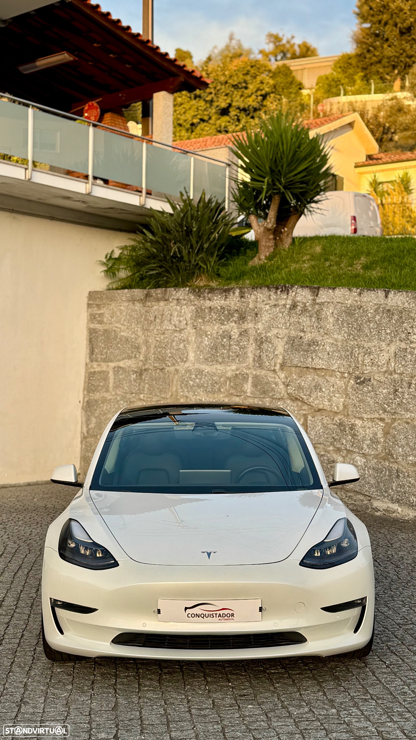 Tesla Model 3 Performance Dual Motor AWD - 2