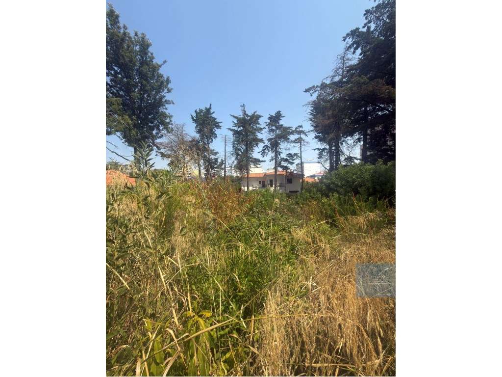 Terreno Urbano com Projeto para Moradia T5 em Santo Amaro de Oeiras - Grande imagem: 4/13