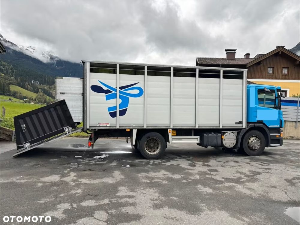 Scania P280 4x2 – Pojazd do przewozu zwierząt VIEHFAHRZEUG / jednopoziomowy  – 171.000 km!! – Euro 5 - 4