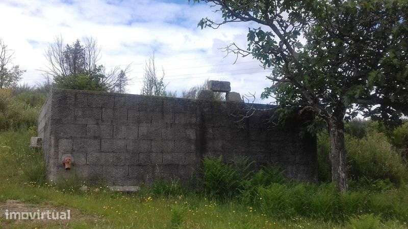 QUINTA  com casa , poço, tanque , vinha . - Grande imagem: 4/12