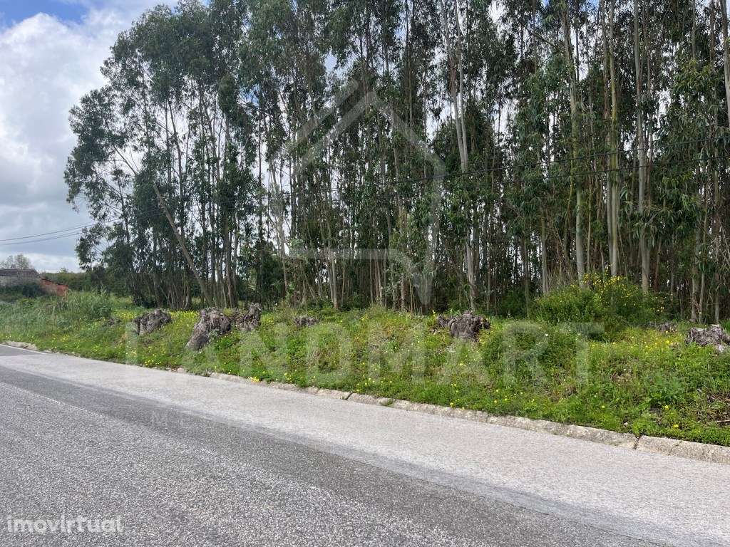 Terreno, São Clemente - Grande imagem: 2/7