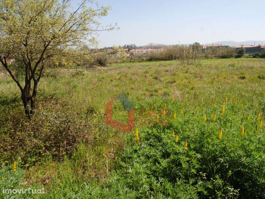 Terreno agrícola com 2350m2, Calvaria de Baixo, Batalha - Grande imagem: 3/4
