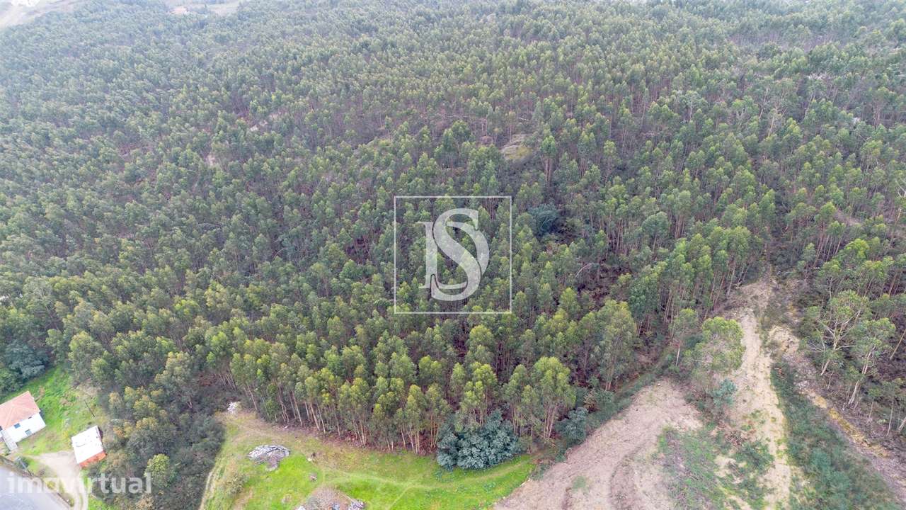 Terreno  Venda em Vandoma,Paredes - Grande imagem: 2/25