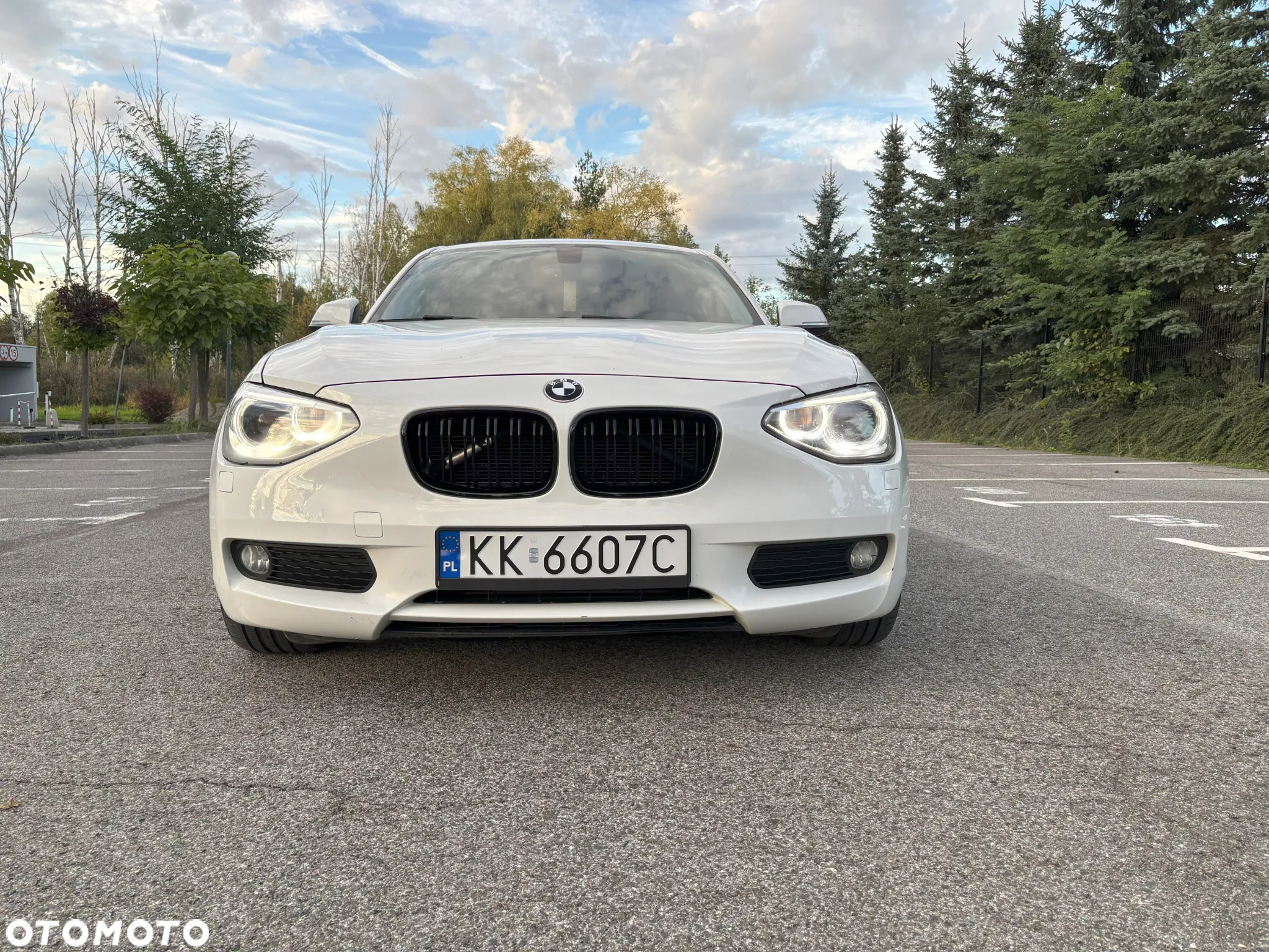 BMW Seria 1 116d Sport Line - 16