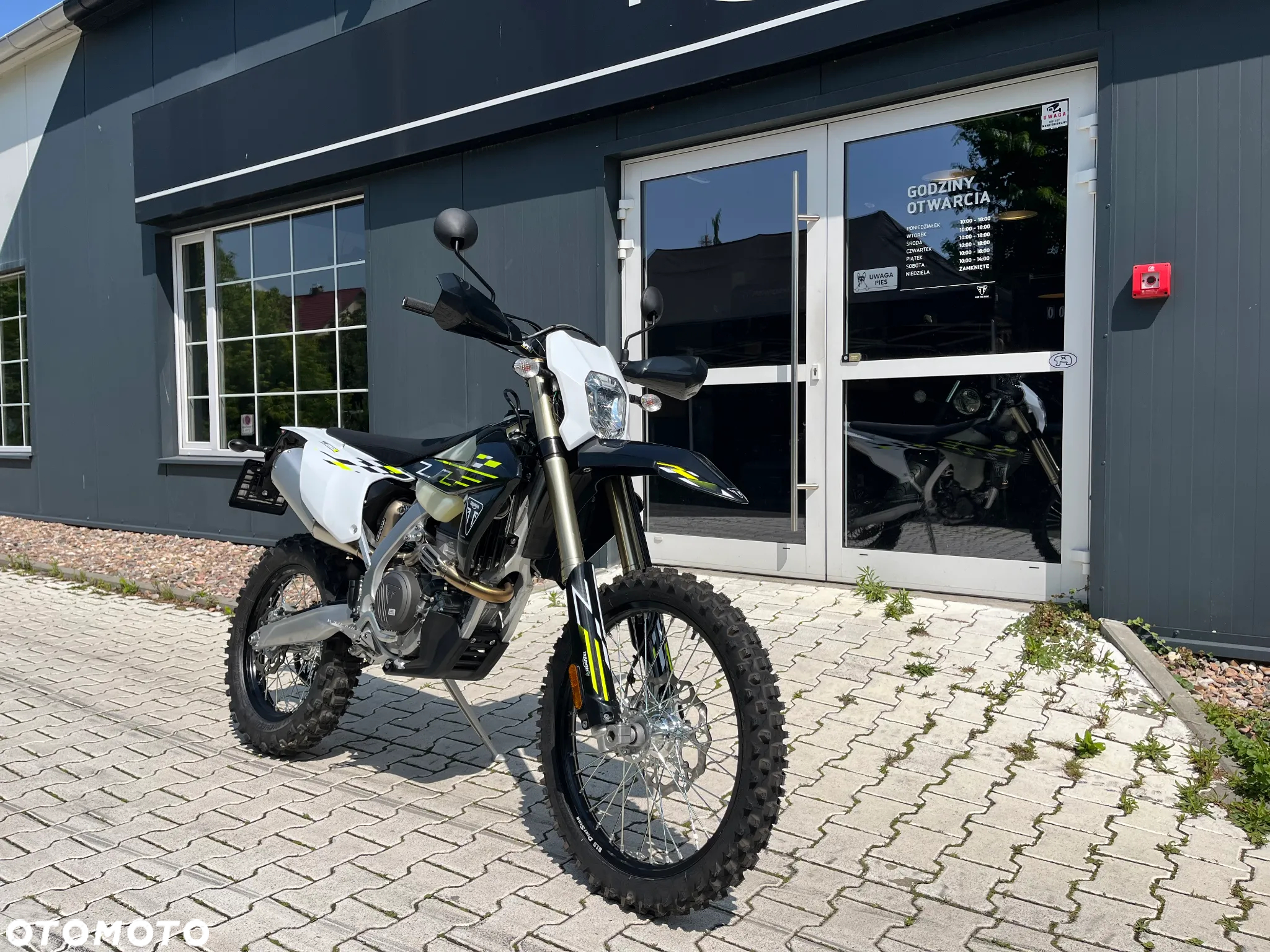 Triumph Inny