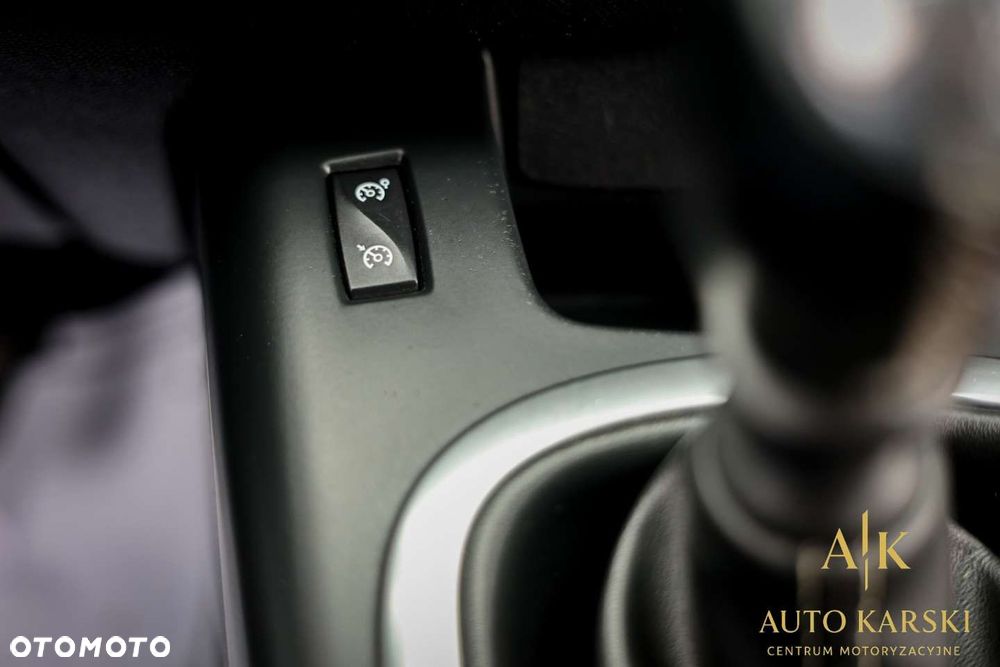 Renault Scenic - 21