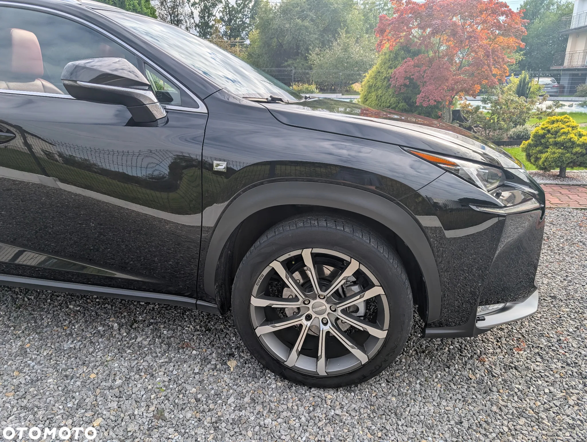 Lexus NX 200t F Sport AWD - 13