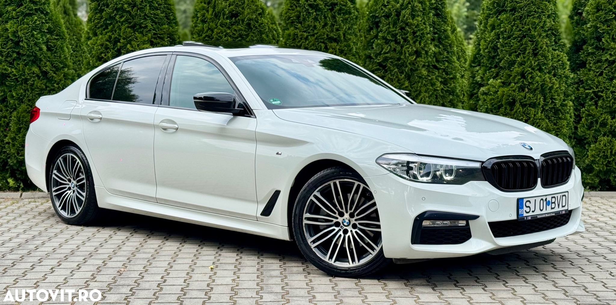 BMW Seria 5 520d xDrive AT - 2