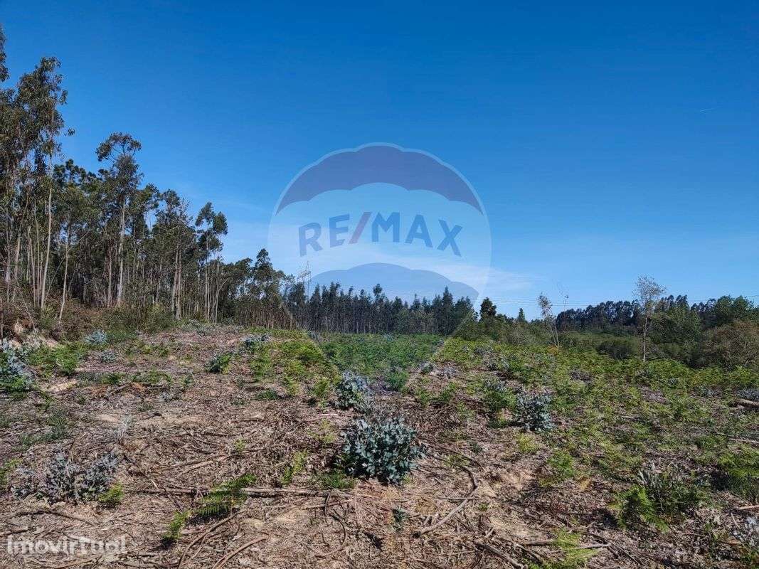 Terreno  para venda - Grande imagem: 2/9