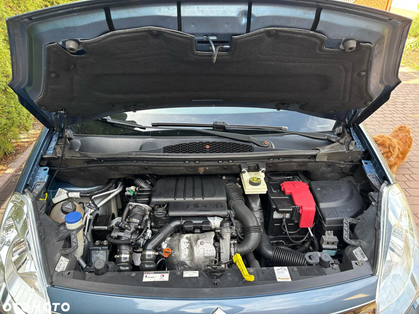 Citroën Berlingo 1.6 HDi 90 FAP Multispace - 23
