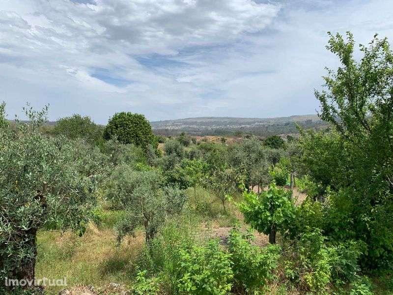 Terreno Particular com Viabilidade de construção em Mangualde - Grande imagem: 2/12