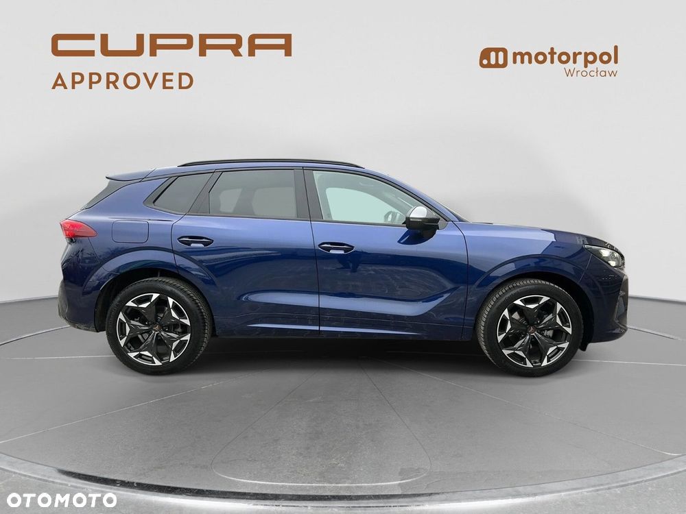 Cupra Terramar - 17