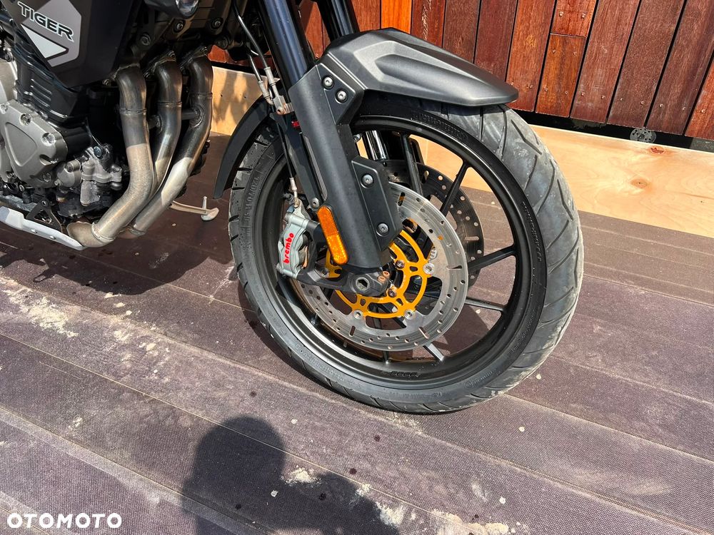 Triumph Tiger - 30