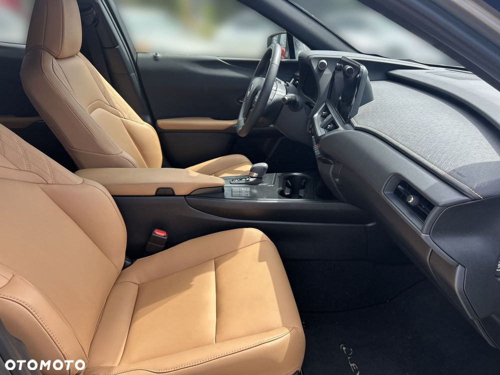 Lexus UX 300h F Sport Design - 10