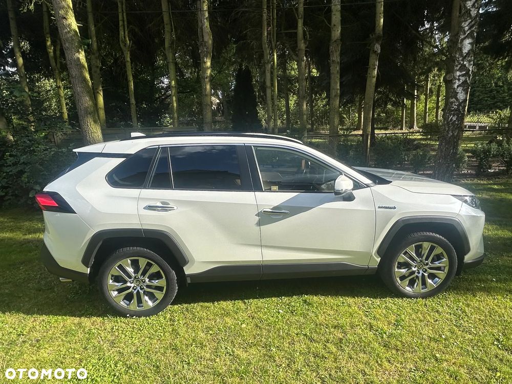 Toyota RAV4 2.5 Hybrid Executive 4x2 - 8