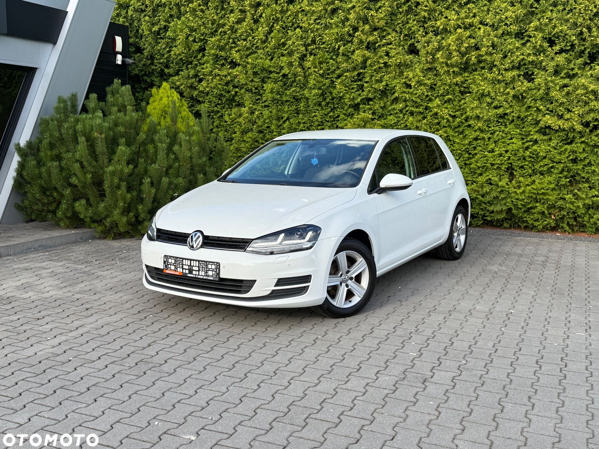 Volkswagen Golf - 1