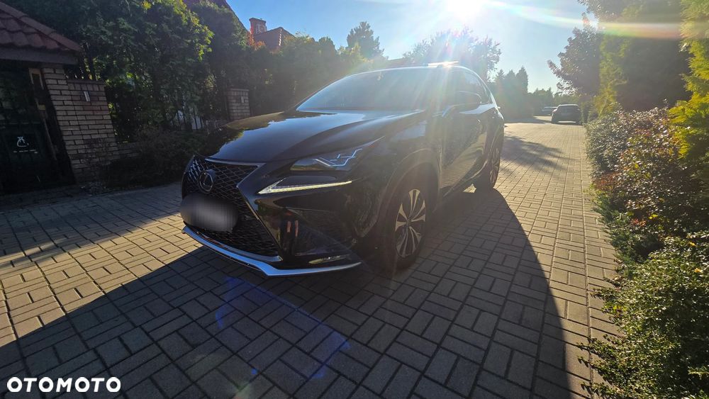 Lexus NX 300 AWD F SPORT - 14