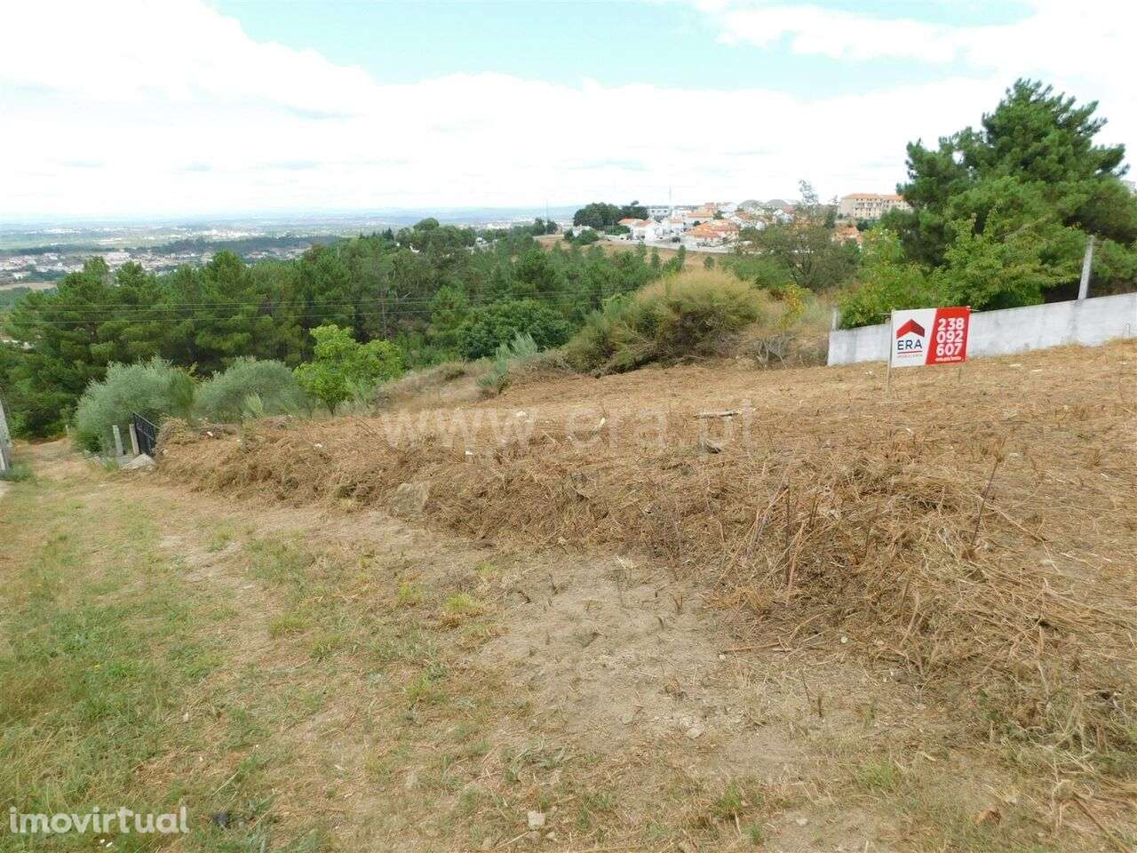 Terreno para construção Seia - Grande imagem: 4/9