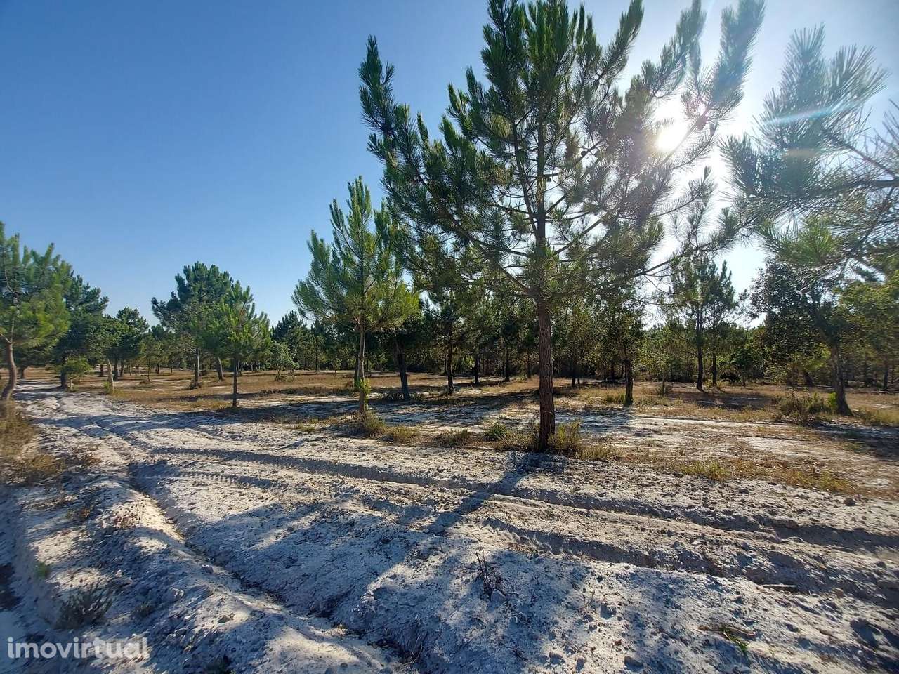 Terreno Rústico em Perímetro Urbano 1.3 ha, Lagoa de Santo... - Grande imagem: 5/16