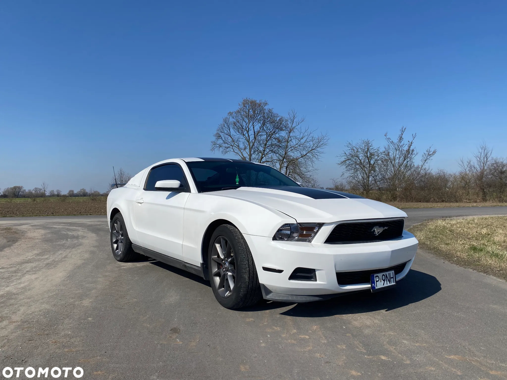 Ford Mustang 3.7 V6 Premium - 11