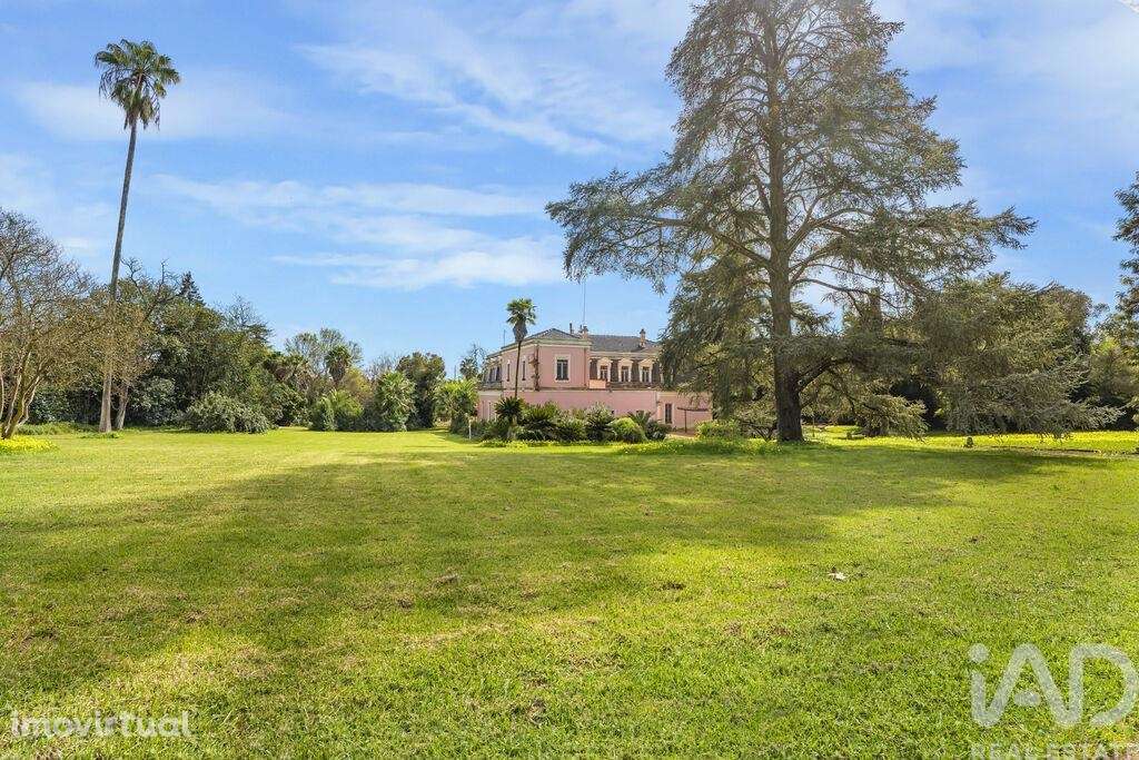 Quinta T10 em Assunção, Ajuda, Salvador e Santo Ildefonso de 1915,00 m - Grande imagem: 4/30
