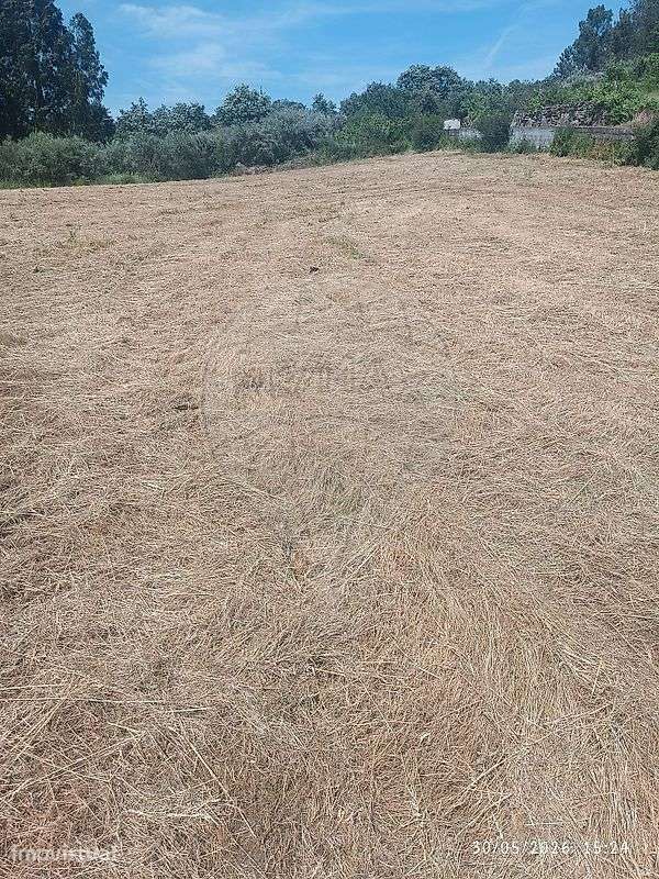 Terreno  para venda - Grande imagem: 4/4