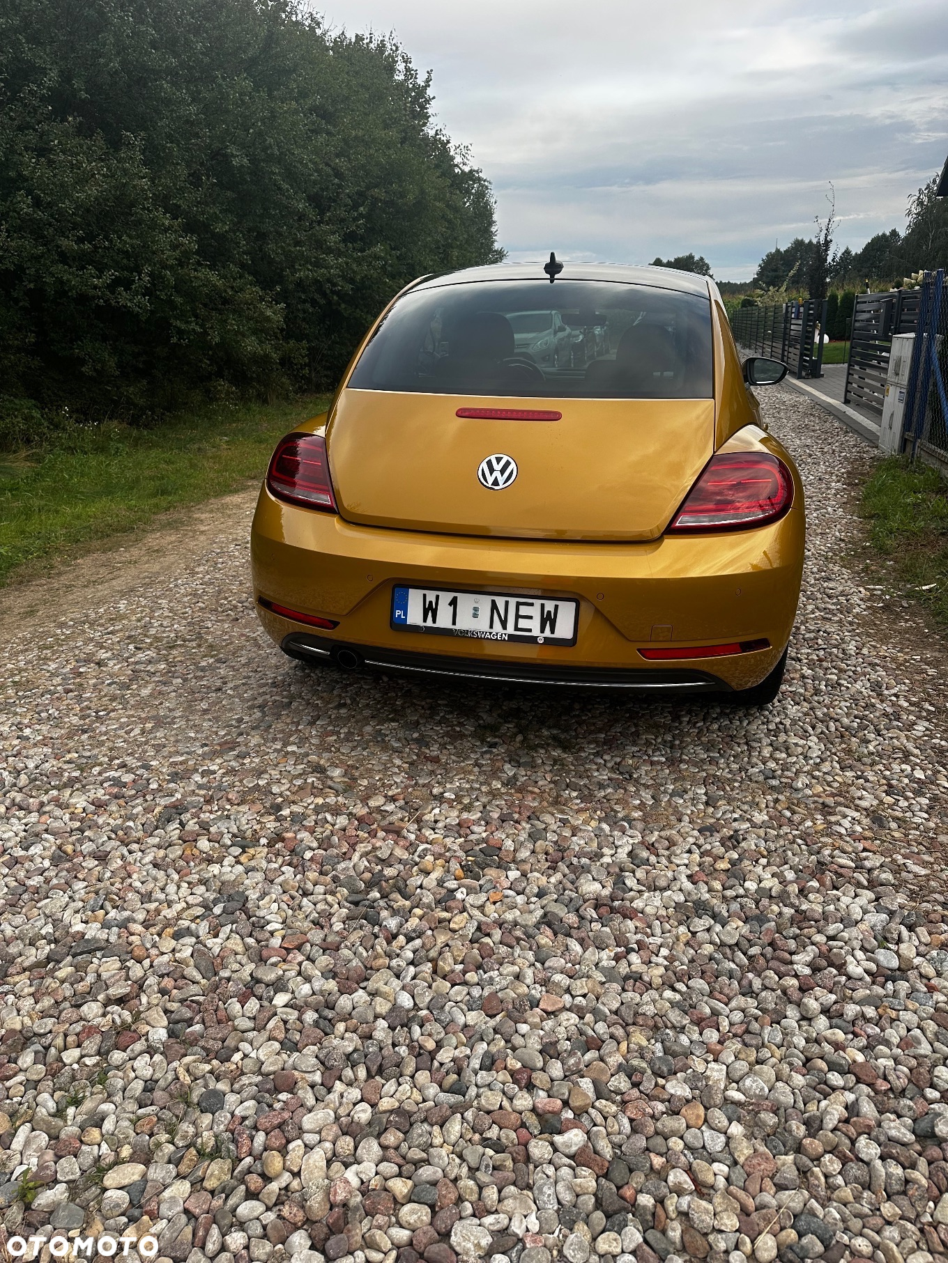 Volkswagen Beetle - 16