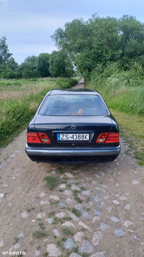 Mercedes-Benz Klasa E 220 D Elegance - 5