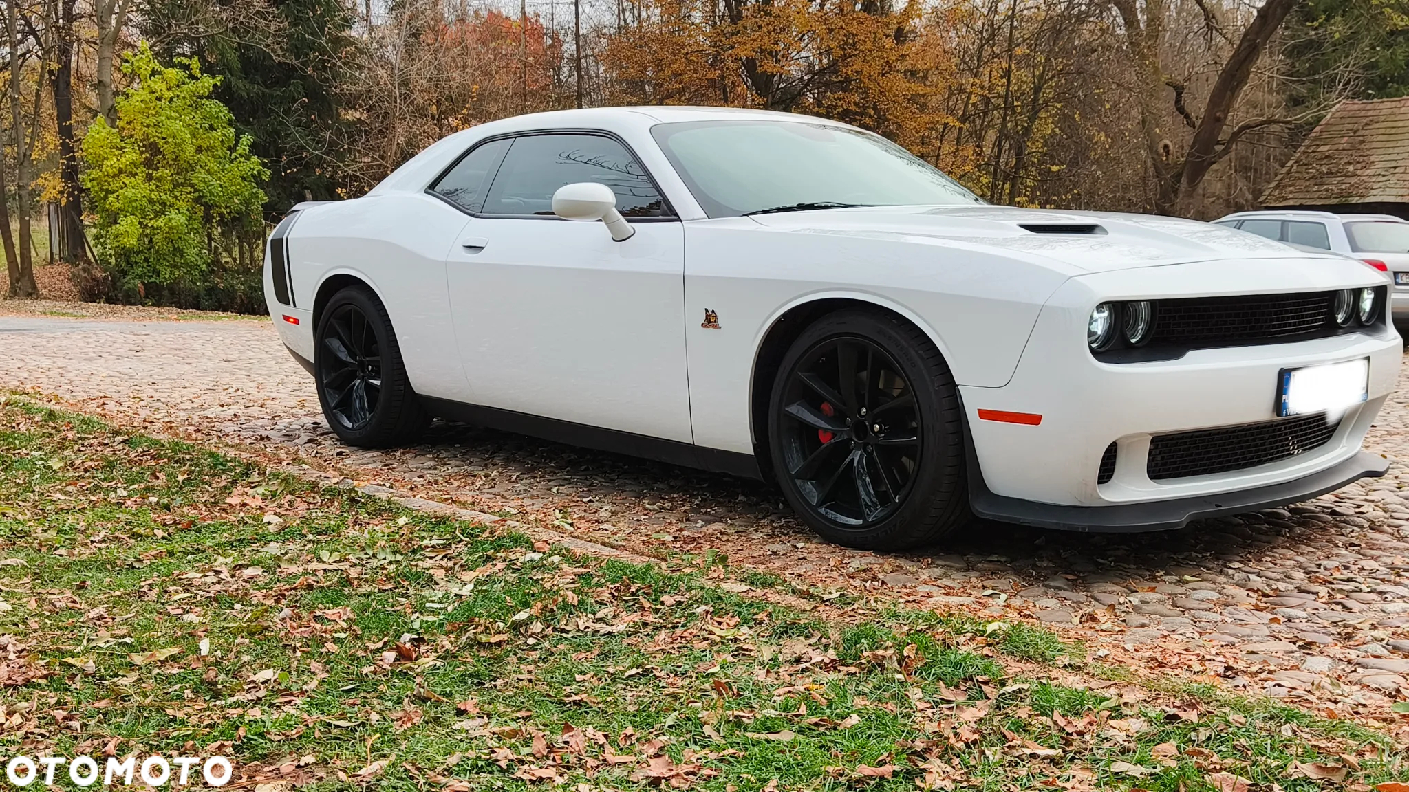 Dodge Challenger Automatik R/T Plus Scat Pack - 8