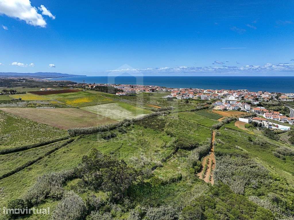 Terreno - Ericeira 5 km, A Casa das Casas - Grande imagem: 5/12