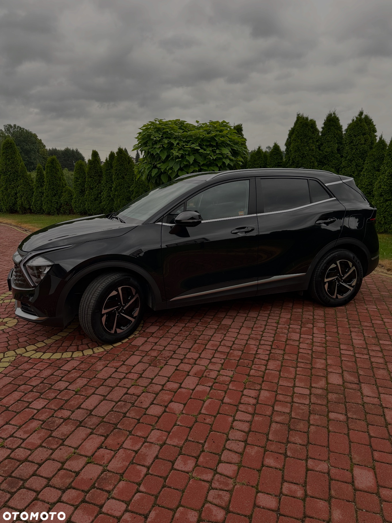 Kia Sportage 1.6 T-GDI HEV L 2WD - 3