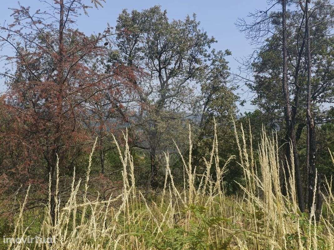 Terreno  para venda - Grande imagem: 2/12