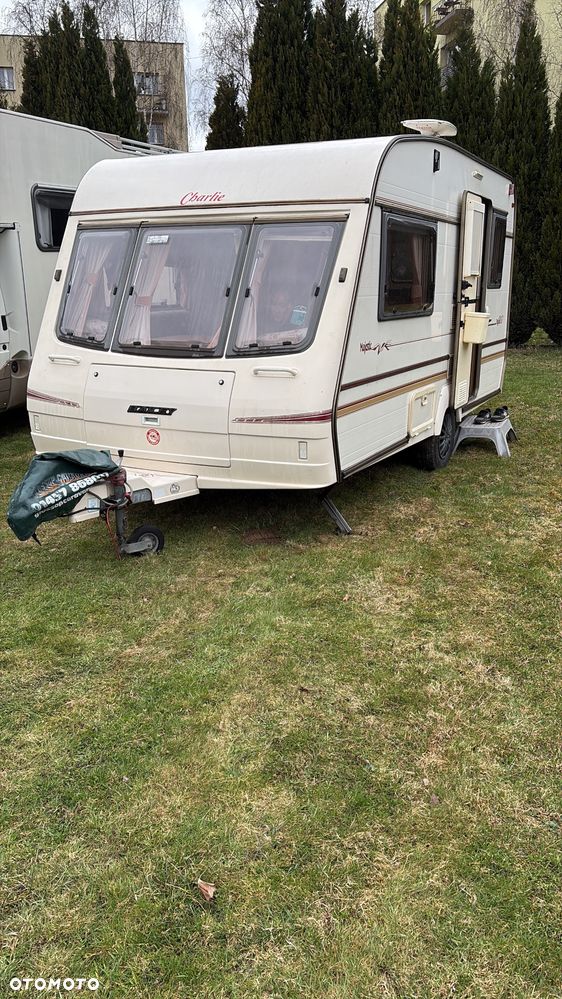 Bailey Pageant Majestic - 1