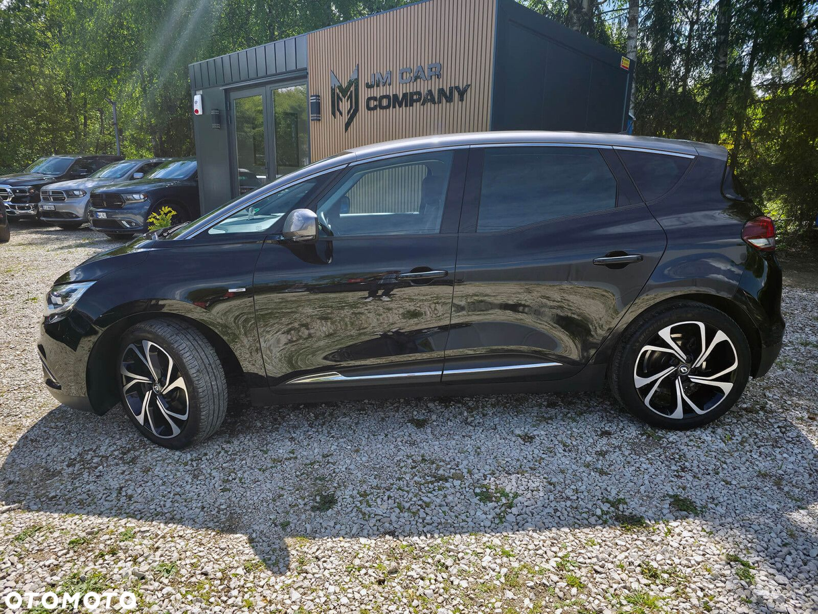 Renault Scenic - 19
