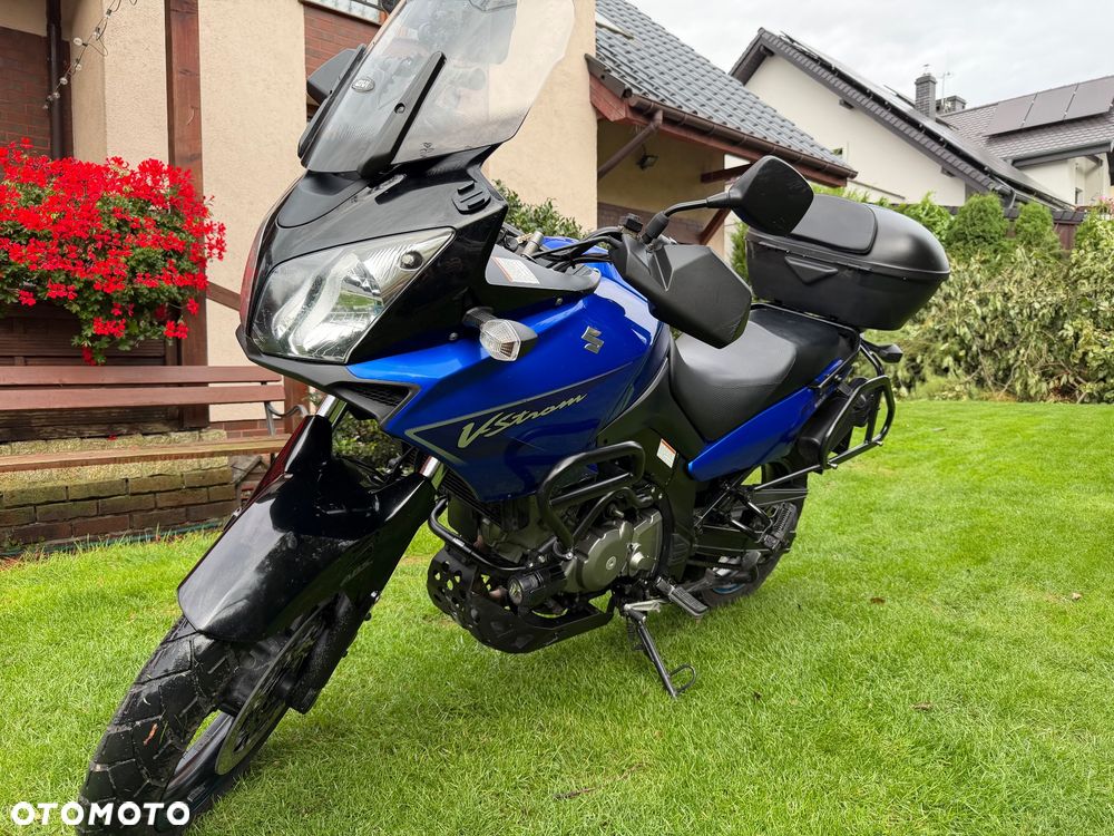 Suzuki DL