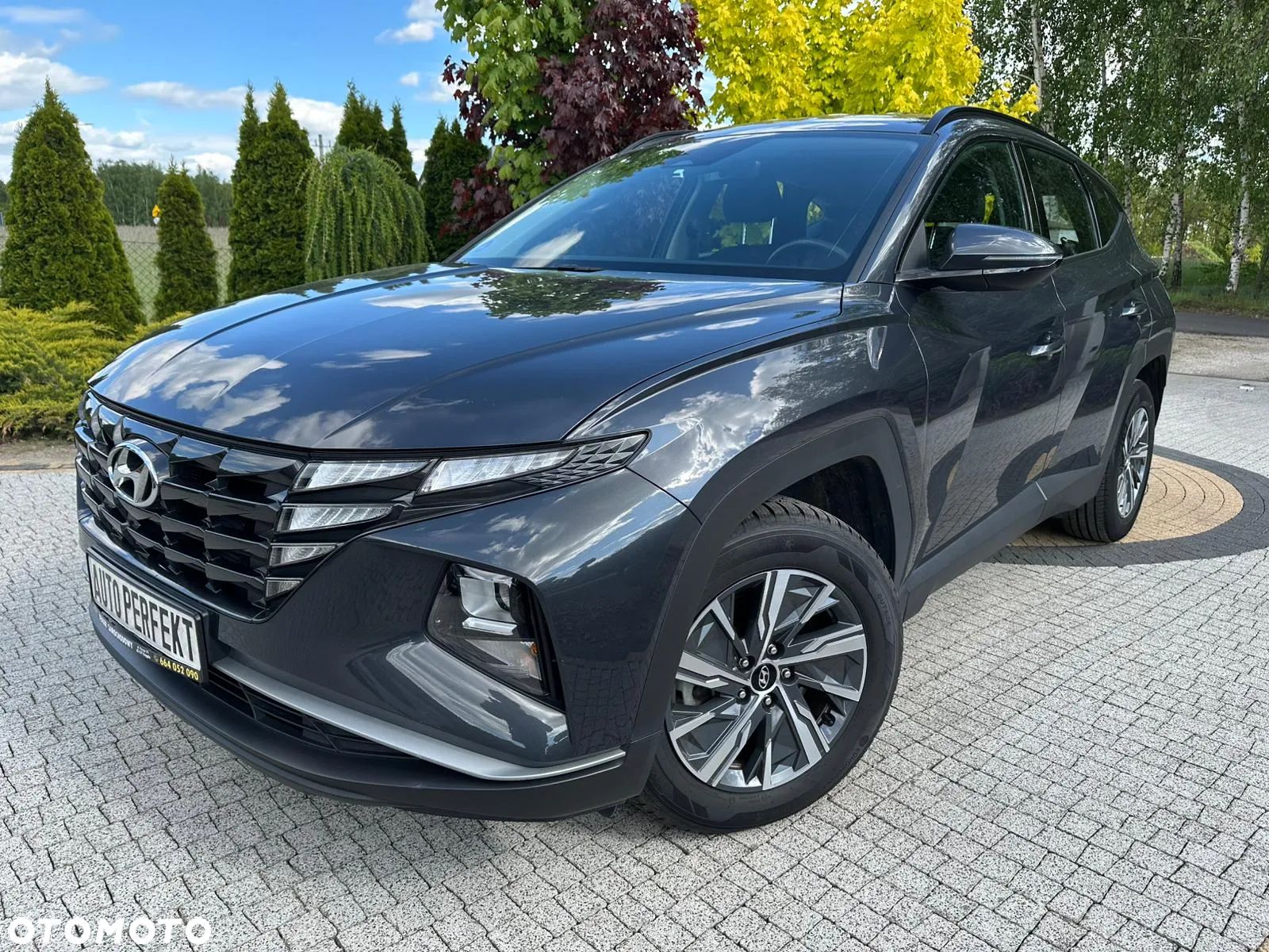 Hyundai Tucson 1.6 T-GDi HEV 2WD Prime - 1