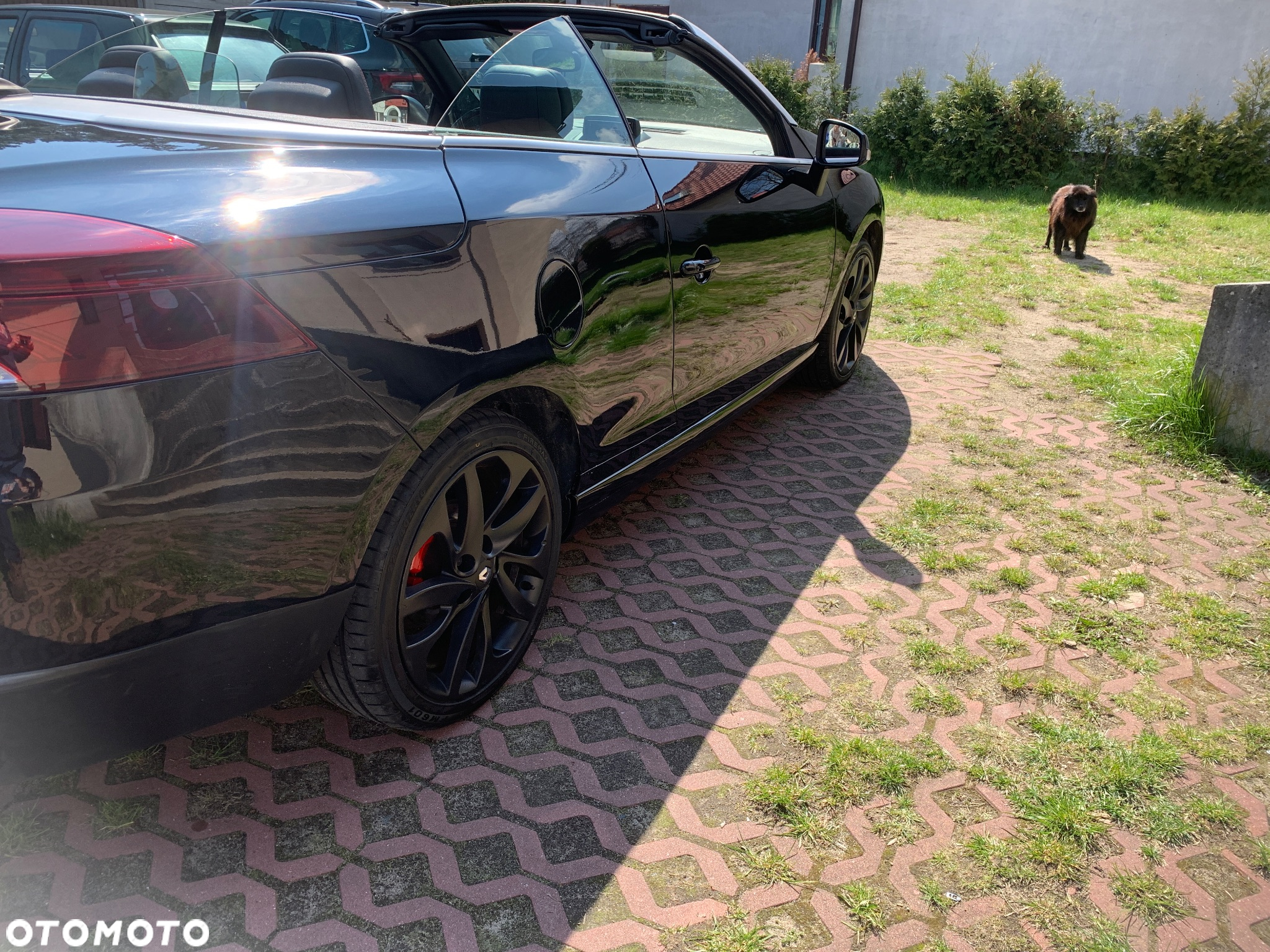 Renault Megane 1.6 dCi Energy Limited - 8