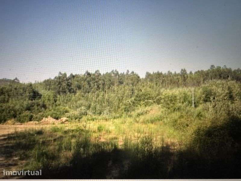 Terreno Rustico  com quase 25000m2 - Grande imagem: 4/10