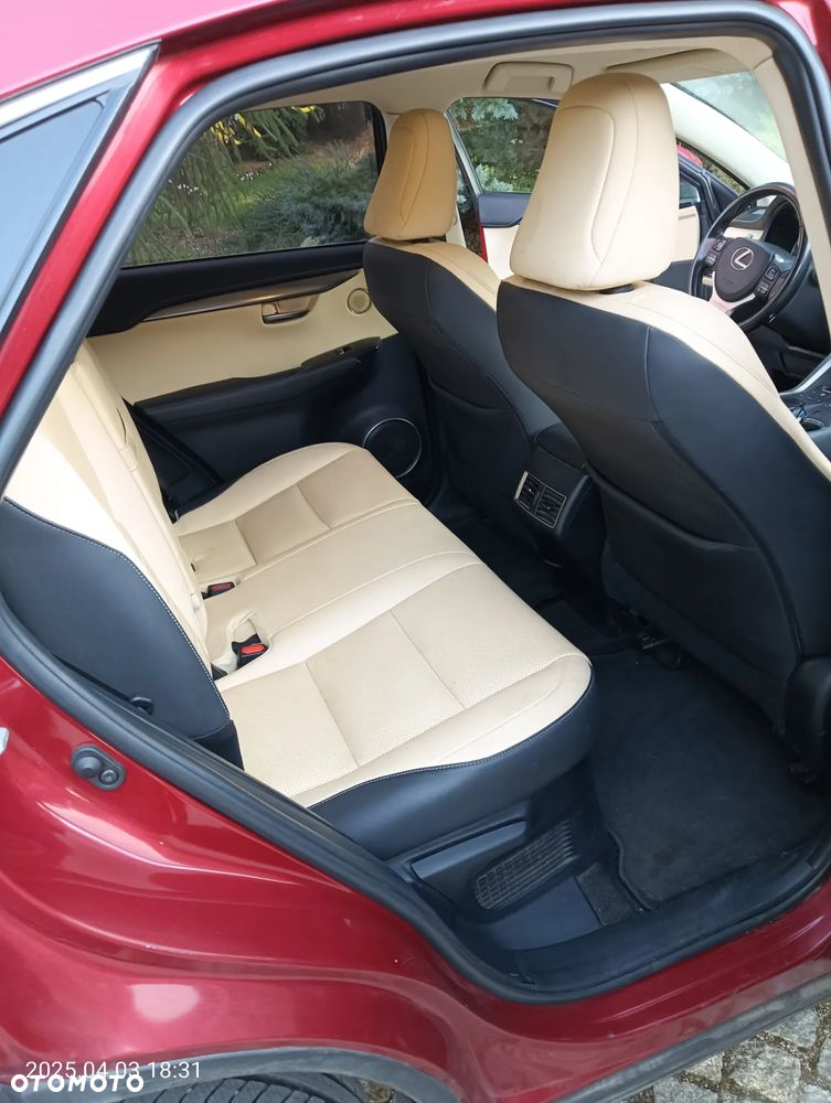 Lexus NX ver-300h-business-edition-awd - 23