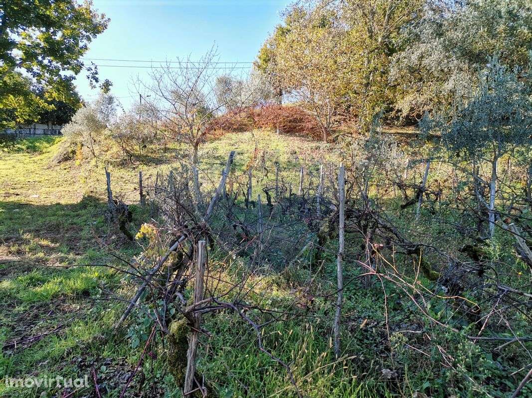 Terreno  para venda - Grande imagem: 4/6