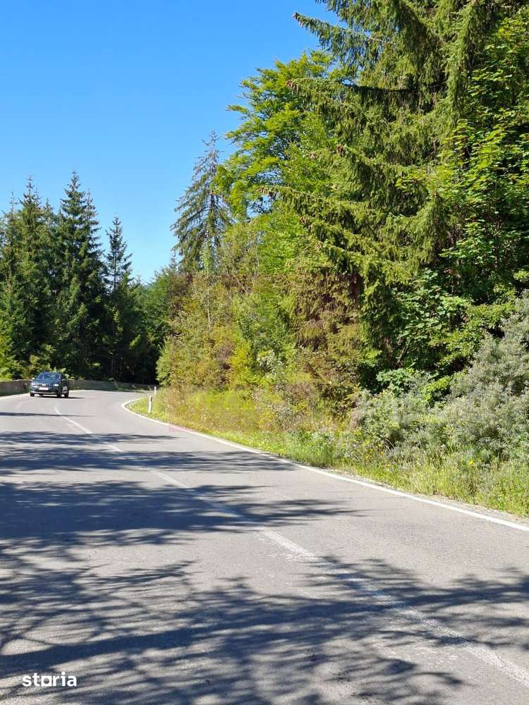 Teren de vânzare în zona Cota 1000 – Sinaia - Imagine principală: 5/10