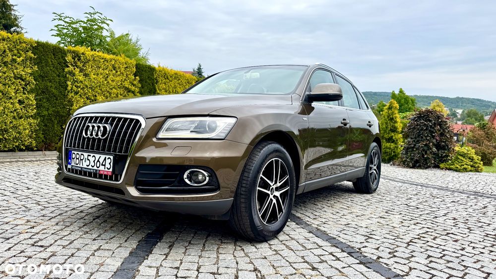 Audi Q5 - 19