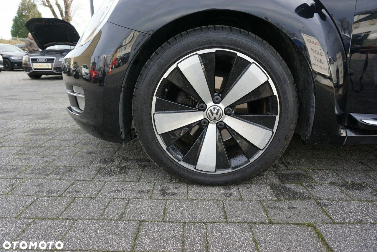 Volkswagen Beetle - 26