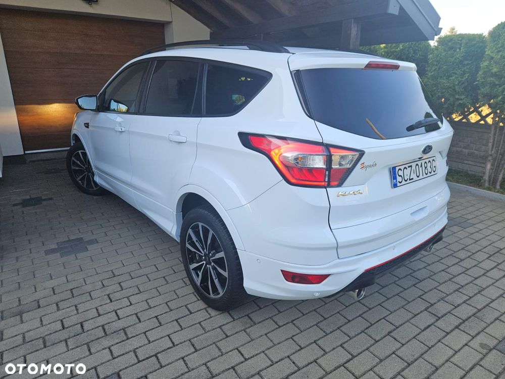 Ford Kuga 2019 photo 4