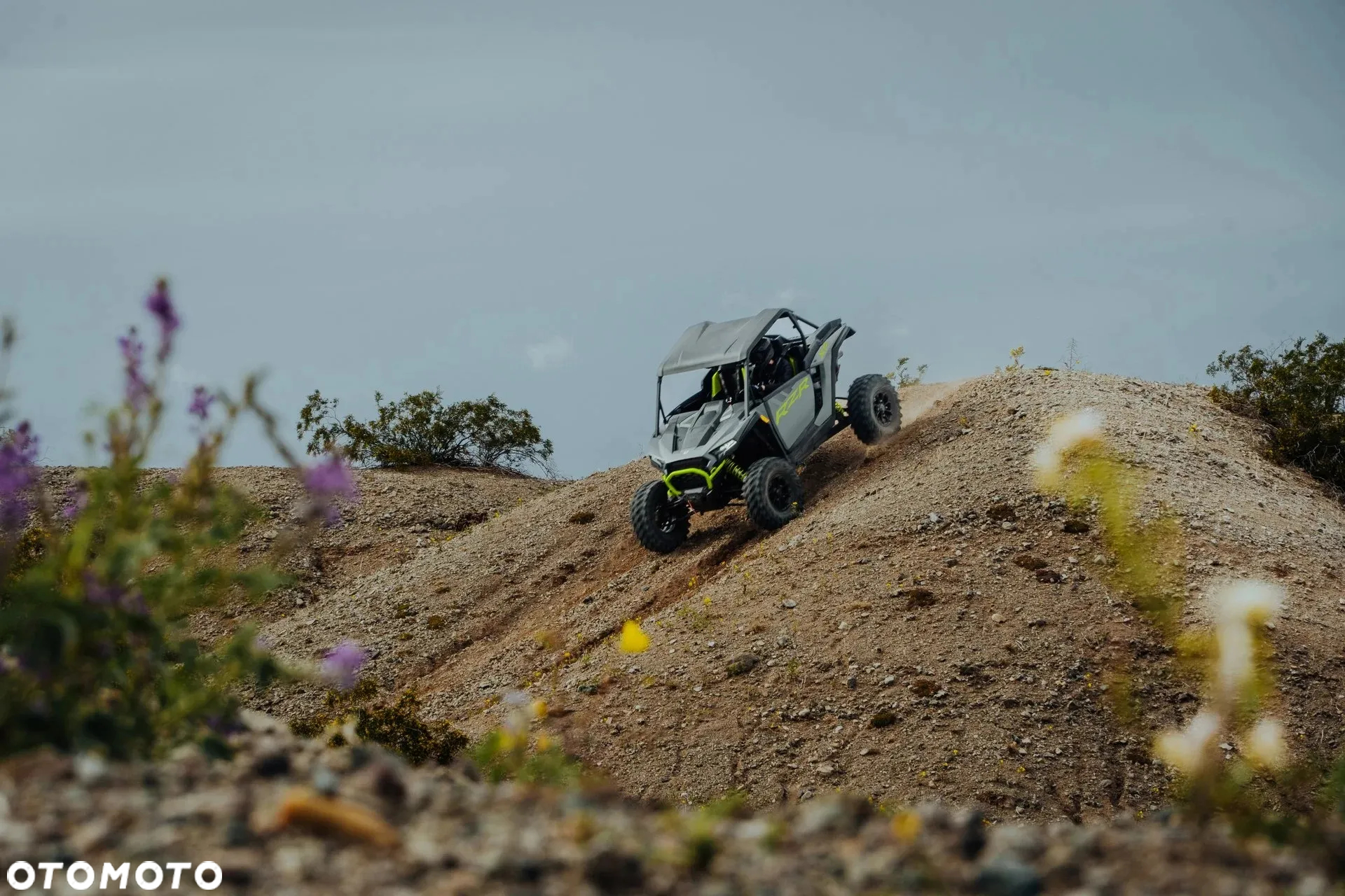 Polaris RZR